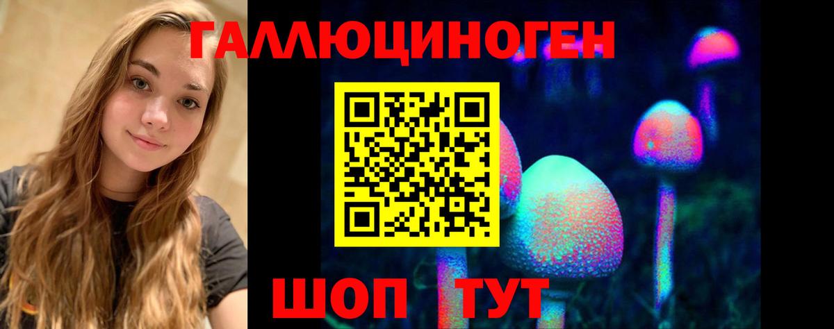 Галлюциногенные грибы Magic Shrooms  Псилоцибиновые грибы Psilocybe  Чернушка  Вход с VPN 